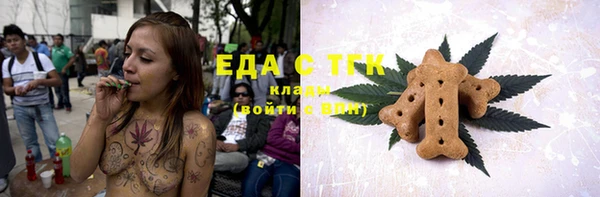 индика Волоколамск