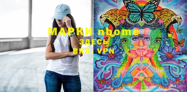 индика Волоколамск