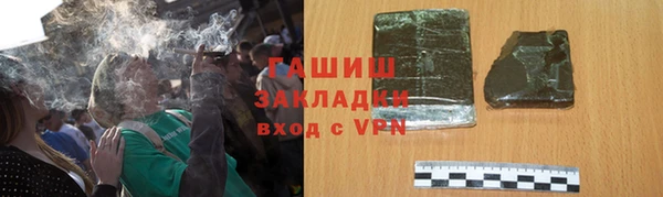 индика Волоколамск