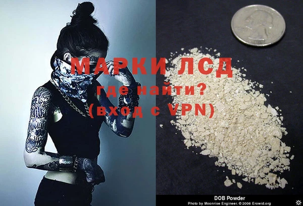 индика Волоколамск