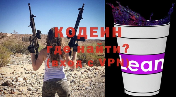 индика Волоколамск