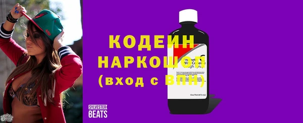 индика Волоколамск