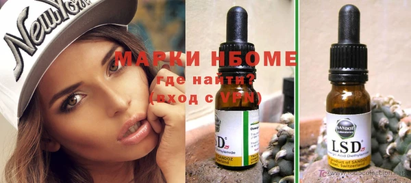 индика Волоколамск