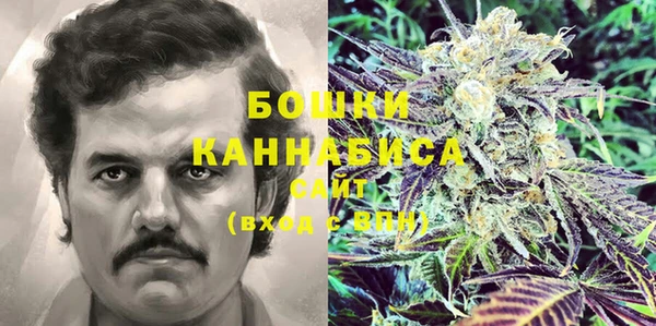 индика Волоколамск
