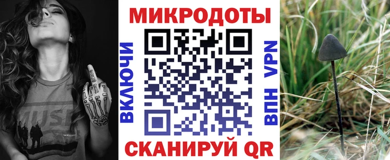 Купить закладки  Ельня  Галлюциногенные грибы GOLDEN TEACHER 