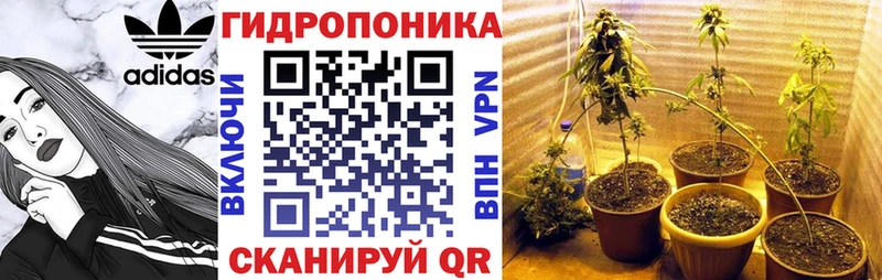 Марихуана VHQ Купить закладки Ельня
